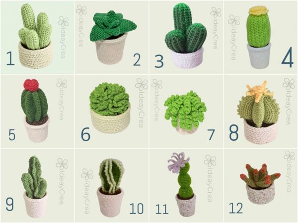Terrarios Cactus Amigurumis - Imagen 6