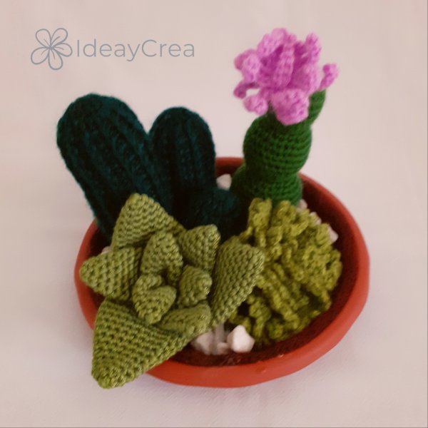 terrario cactus amigurumi ideaycrea