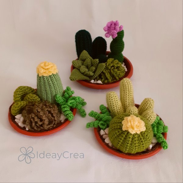 amigurumis personalizados terrario cactus amigurumi ideaycrea